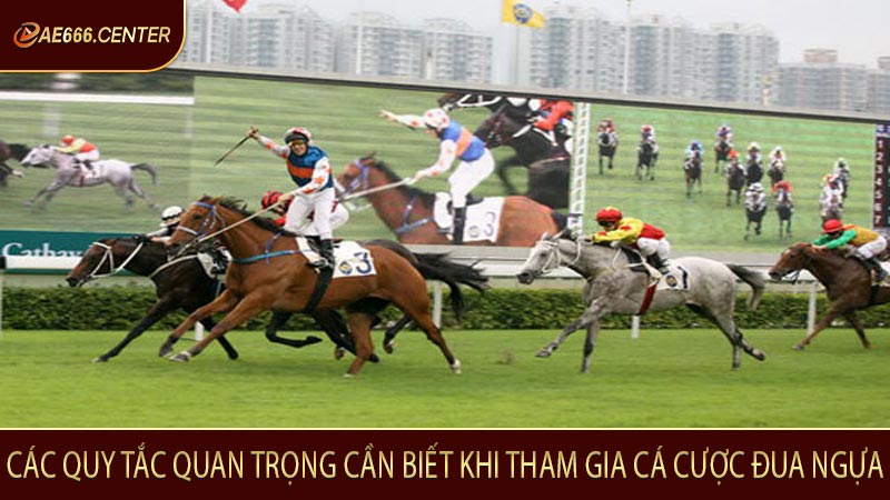 Các quy tắc quan trọng cần biết khi tham gia cá cược đua ngựa
