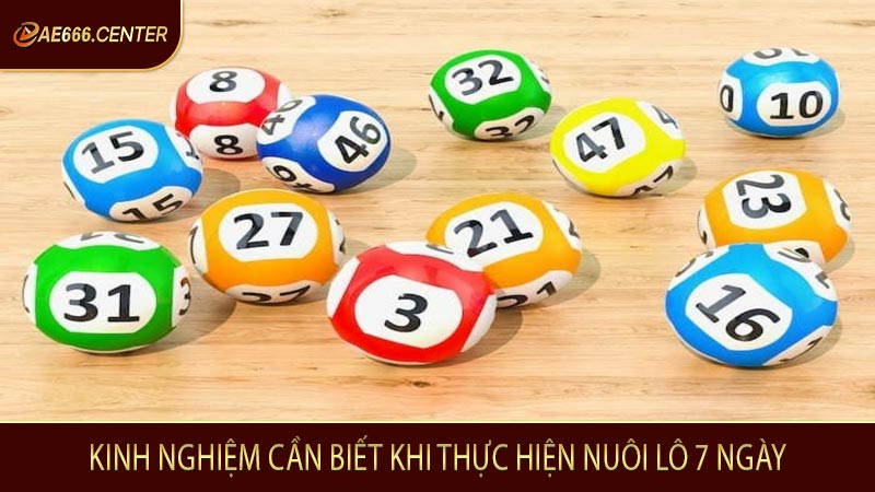 Kinh nghiệm cần biết khi thực hiện nuôi lô 7 ngày