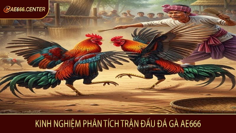 Kinh nghiệm phân tích trận đấu đá gà AE666