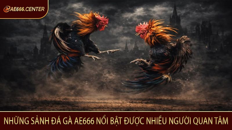 Những sảnh đá gà AE666 nổi bật được nhiều người quan tâm