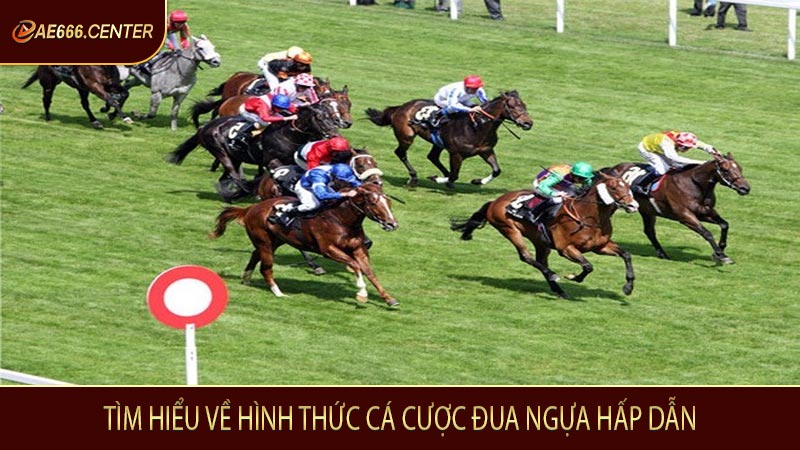 Tìm hiểu về hình thức cá cược đua ngựa hấp dẫn